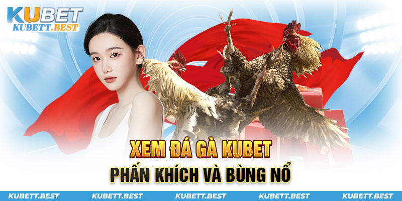 Xem đá gà Kubet phấn khích và bùng nổ